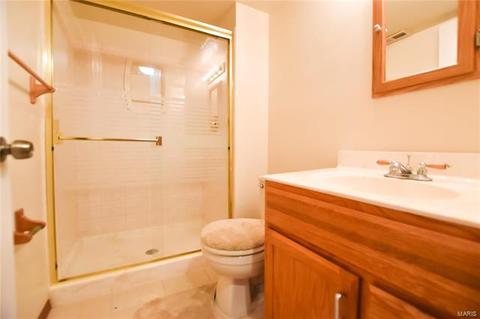 705 Thornridge Pl, O'fallon, MO 63368 photo 20