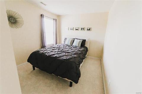 322 Hawks View Dr, O'fallon, MO 63368 photo 28