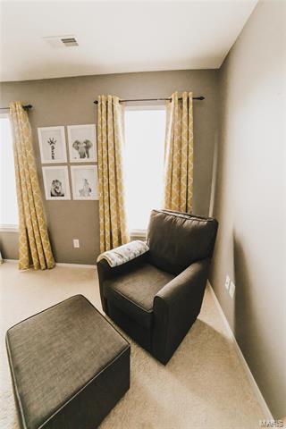 322 Hawks View Dr, O'fallon, MO 63368 photo 32
