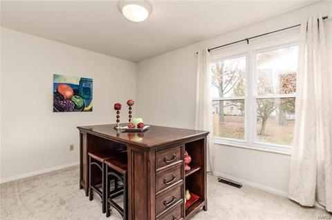 304 Fox Village Ct, Ballwin, MO 63021 photo 9