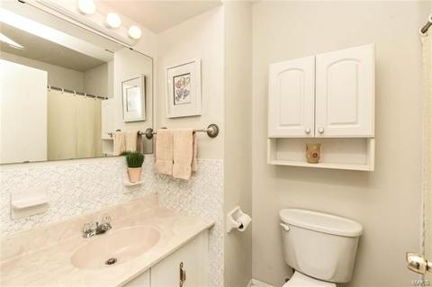 304 Fox Village Ct, Ballwin, MO 63021 photo 18