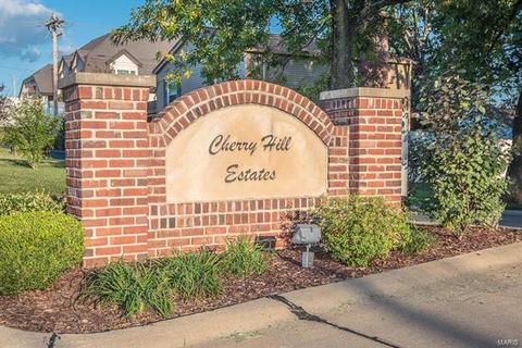 325 Nantucket, Ballwin, MO 63011 photo 27