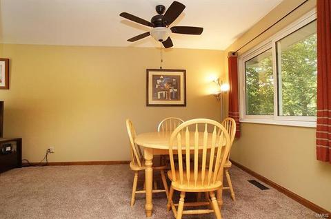 677 Walnut Point Ct, Ballwin, MO 63021 photo 11