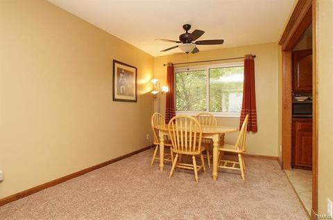 677 Walnut Point Ct, Ballwin, MO 63021 photo 5
