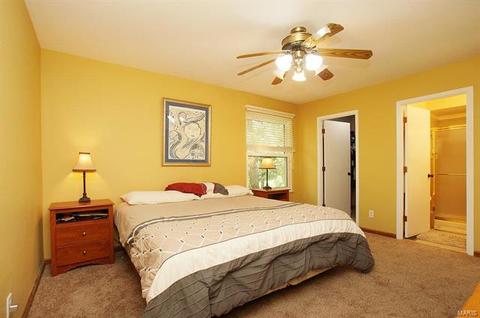 677 Walnut Point Ct, Ballwin, MO 63021 photo 14