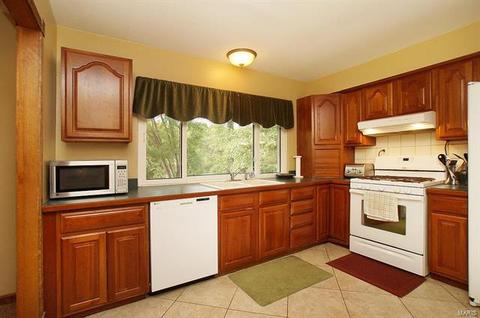 677 Walnut Point Ct, Ballwin, MO 63021 photo 4