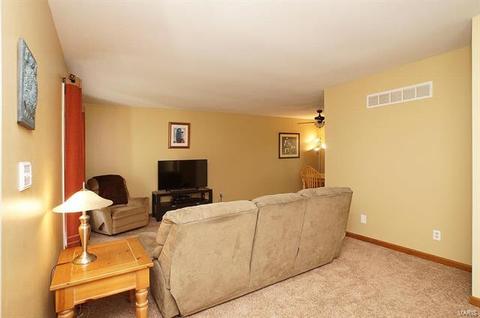 677 Walnut Point Ct, Ballwin, MO 63021 photo 9