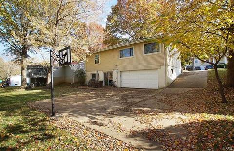 677 Walnut Point Ct, Ballwin, MO 63021 photo 2