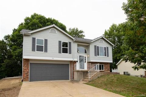 72 Mallard Pointe Dr, O'fallon, MO 63368 photo 1