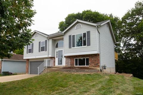 72 Mallard Pointe Dr, O'fallon, MO 63368 photo 2