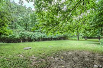 1156 Briar Patch, Ellisville, MO 63021 photo 9