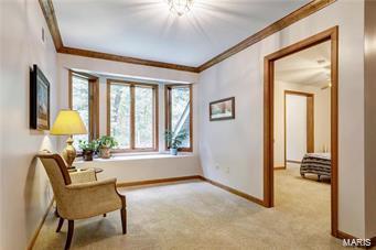 1156 Briar Patch, Ellisville, MO 63021 photo 28