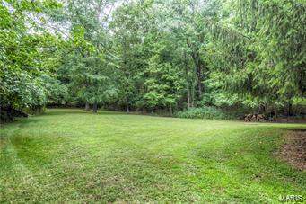1156 Briar Patch, Ellisville, MO 63021 photo 10