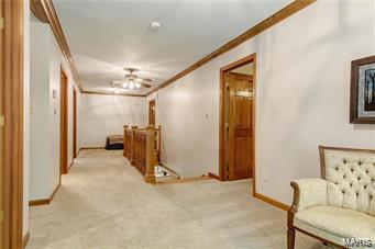 1156 Briar Patch, Ellisville, MO 63021 photo 27