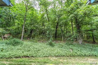 1156 Briar Patch, Ellisville, MO 63021 photo 8