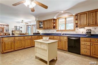 1156 Briar Patch, Ellisville, MO 63021 photo 19
