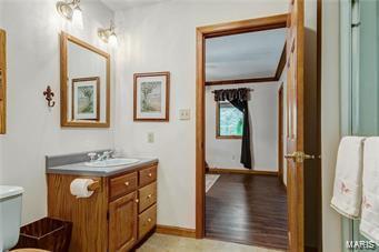 1156 Briar Patch, Ellisville, MO 63021 photo 22