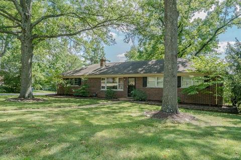 11 Hedgewood Ln, Manchester, MO 63011 photo 28