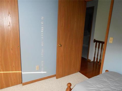 28 Mary Beth Ct, O'fallon, MO 63368 photo 22