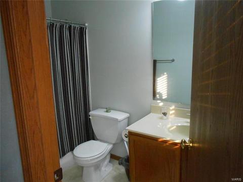 28 Mary Beth Ct, O'fallon, MO 63368 photo 15