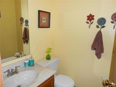 28 Mary Beth Ct, O'fallon, MO 63368 photo 23