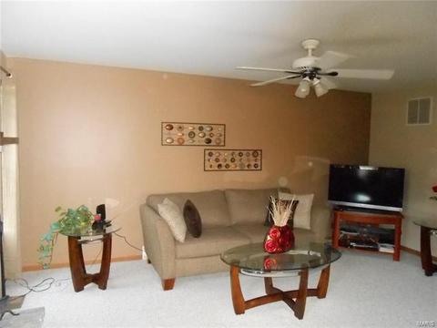 28 Mary Beth Ct, O'fallon, MO 63368 photo 13