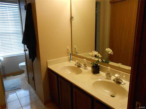 28 Mary Beth Ct, O'fallon, MO 63368 photo 19