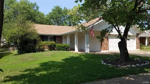 407 Madrina, Ballwin, MO 63021 photo 1