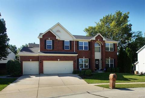 808 Jb Hunt Ct, Ellisville, MO 63021 photo 36
