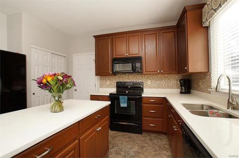 808 Jb Hunt Ct, Ellisville, MO 63021 photo 10