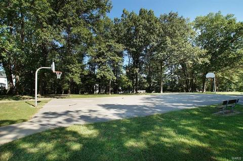 808 Jb Hunt Ct, Ellisville, MO 63021 photo 34