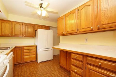 127 Romine Cir, Ballwin, MO 63011 photo 8