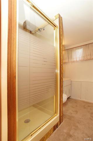 127 Romine Cir, Ballwin, MO 63011 photo 20