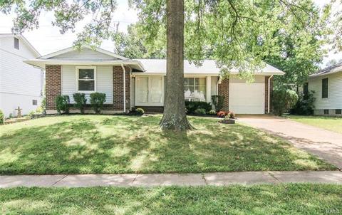 406 Palermo Dr, Ballwin, MO 63021 photo 35