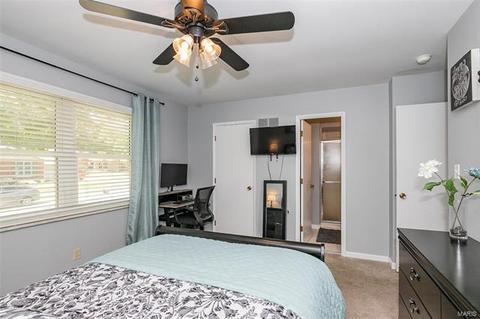 254 Cedar Village Ct, Ballwin, MO 63021 photo 21