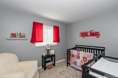 254 Cedar Village Ct, Ballwin, MO 63021 photo 22