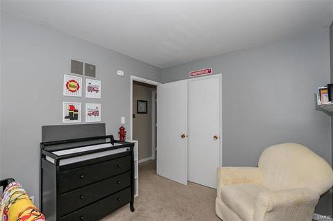 254 Cedar Village Ct, Ballwin, MO 63021 photo 23