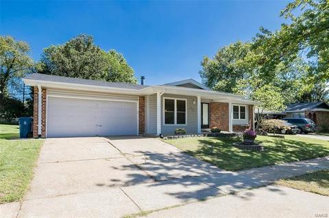 254 Cedar Village Ct, Ballwin, MO 63021 photo 2