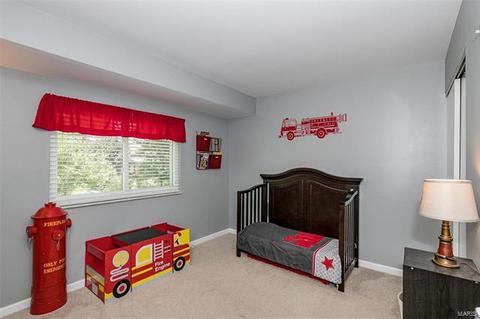 254 Cedar Village Ct, Ballwin, MO 63021 photo 24