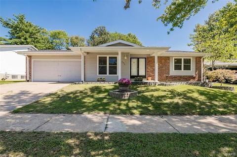 254 Cedar Village Ct, Ballwin, MO 63021 photo 1