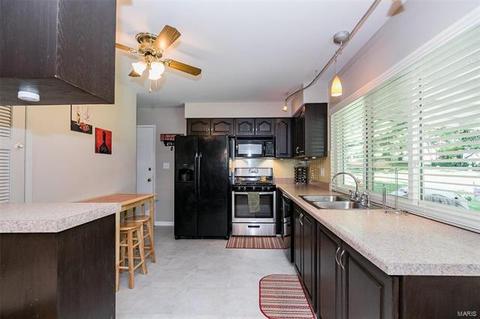 254 Cedar Village Ct, Ballwin, MO 63021 photo 11
