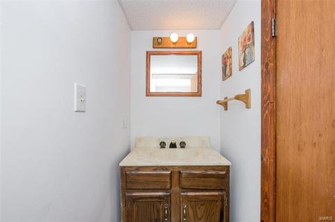 254 Cedar Village Ct, Ballwin, MO 63021 photo 29