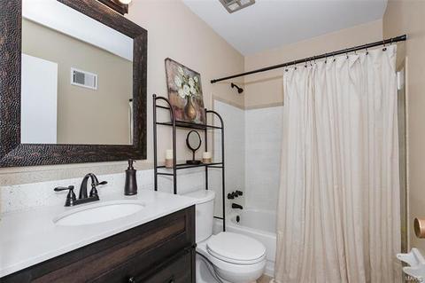 254 Cedar Village Ct, Ballwin, MO 63021 photo 17