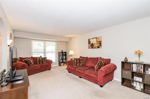 254 Cedar Village Ct, Ballwin, MO 63021 photo 6