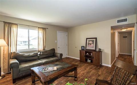 801 Saint Matthew Ave, O'fallon, MO 63366 photo 9