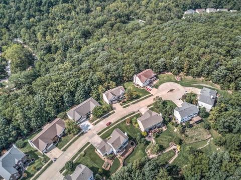1041 Stone Spring Ct, Eureka, MO 63025 photo 21