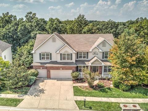 1041 Stone Spring Ct, Eureka, MO 63025 photo 22