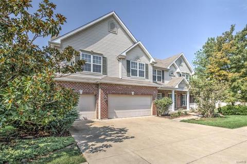 1041 Stone Spring Ct, Eureka, MO 63025 photo 23