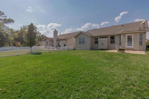 258 Spring Borough Dr, O'fallon, MO 63368 photo 32