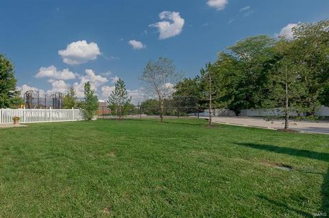 258 Spring Borough Dr, O'fallon, MO 63368 photo 29